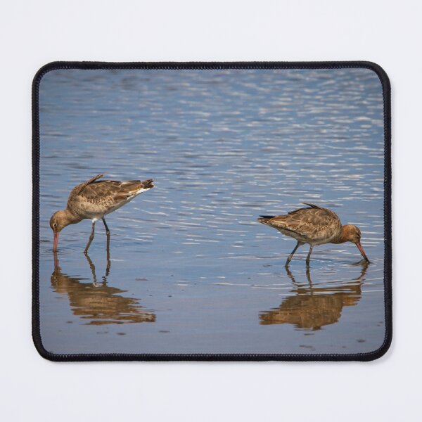 Item preview, A Pair of Black Tailed Godwits feeding designed and sold by StelleryART.
