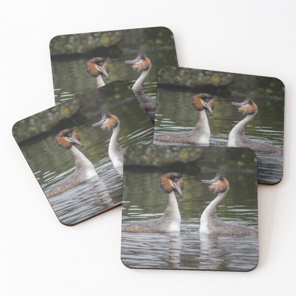 Item preview, Great Crested Grebe Courtship designed and sold by Alec Stewart.