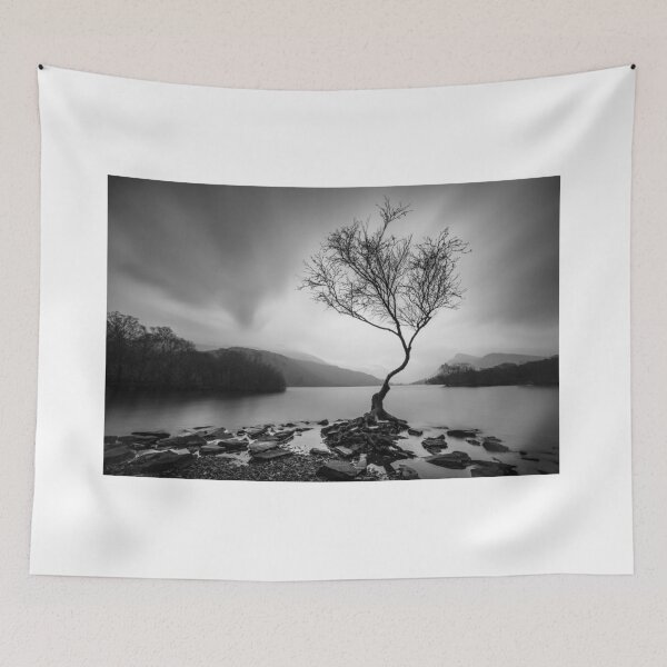 Item preview, Lonely Tree, Llyn Padarn, Snowdonia designed and sold by Eddie Allen.