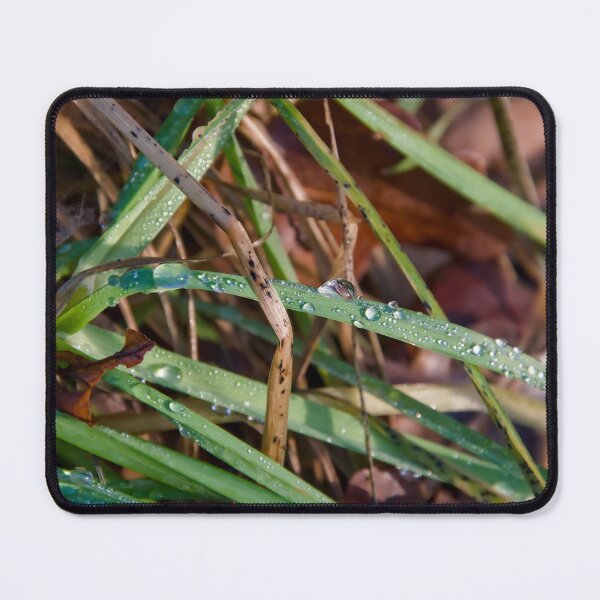Item preview, Glittering Rain Drops on Autumn Grass designed and sold by ShotsbyDesiree.