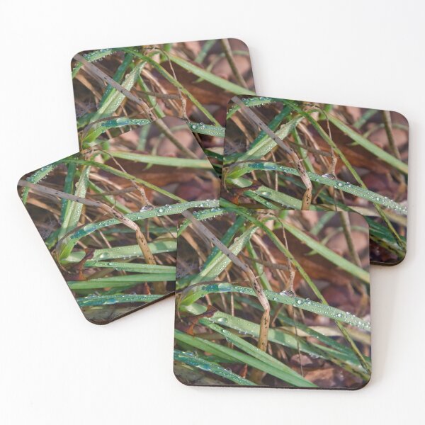 Item preview, Glittering Rain Drops on Autumn Grass designed and sold by ShotsbyDesiree.
