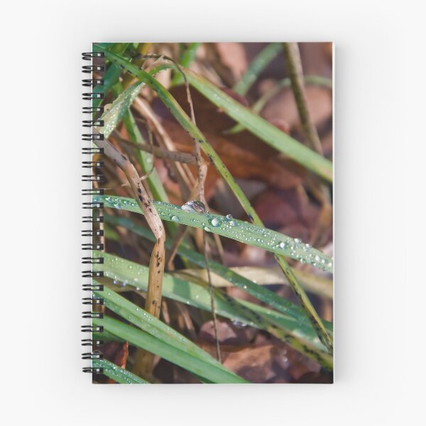 Item preview, Glittering Rain Drops on Autumn Grass designed and sold by ShotsbyDesiree.