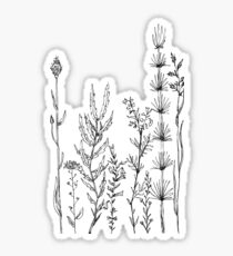 Wildflower Zeichnung Skizze Sticker