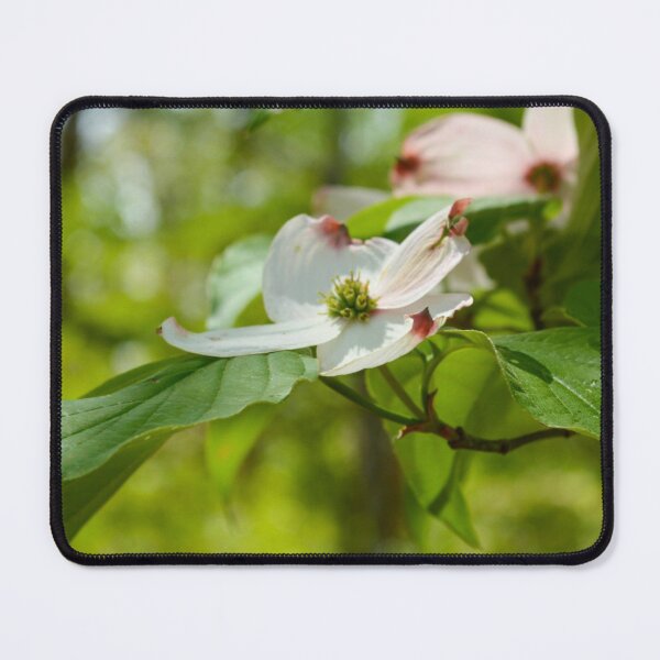 Item preview, White Dogwood Flower Bloom in Spring Forest designed and sold by Blossom-Breeze.