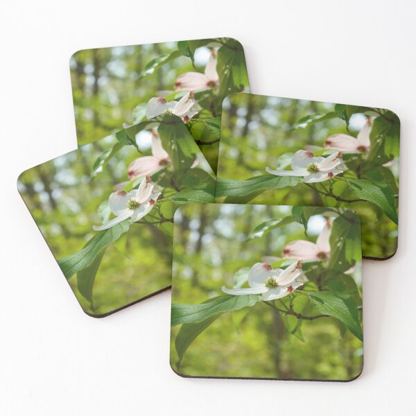 Item preview, White Dogwood Flower Bloom in Spring Forest designed and sold by Blossom-Breeze.