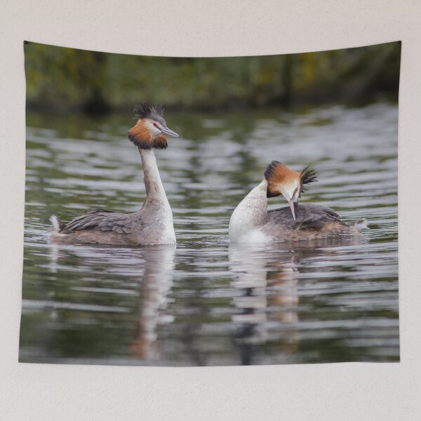 Item preview, Great Crested Grebe Courtship designed and sold by Alec Stewart.