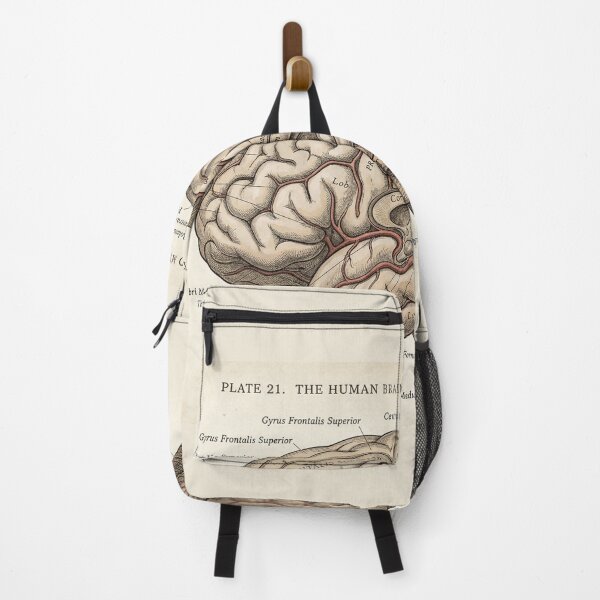 Item preview, Vintage Human Brain Anatomy Diagram - Lateral and Medial Aspect designed and sold by Body Part Archive.