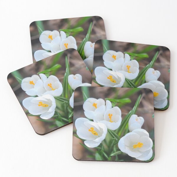 Item preview, Spring White Crocuses. designed and sold by Dinasshop.
