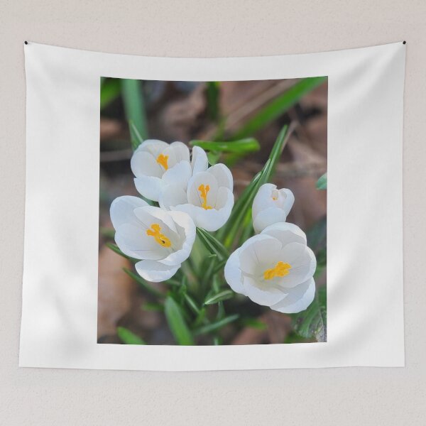 Item preview, Spring White Crocuses. designed and sold by Dinasshop.