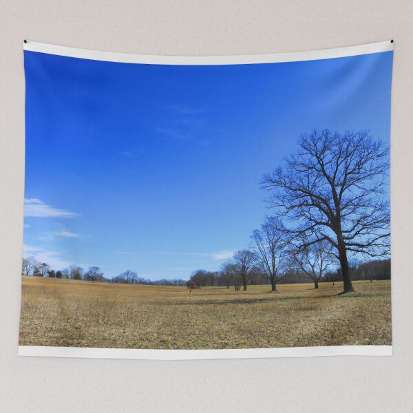 Item preview, Connecticut's Waveny Park- Big Blue Sky designed and sold by Christine "Xine" Segalas.