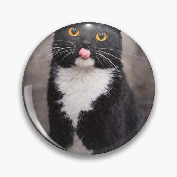 Item preview, Funny Cat Birthday Card designed and sold by The Sweary Mary Gift Store.