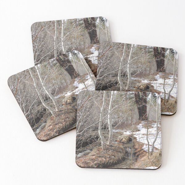 Item preview, Winter Creek designed and sold by Robert Ball.