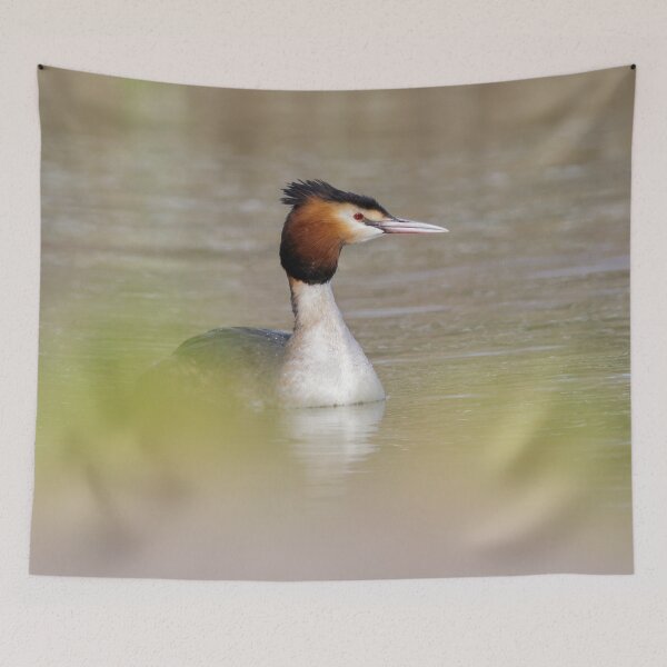 Item preview, Grebe Portrait designed and sold by Alec Stewart.