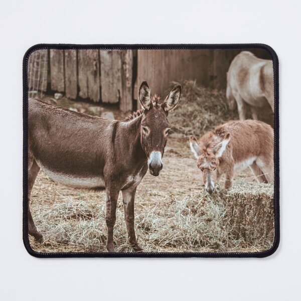 Item preview, Barnyard Gang designed and sold by Jim Love.