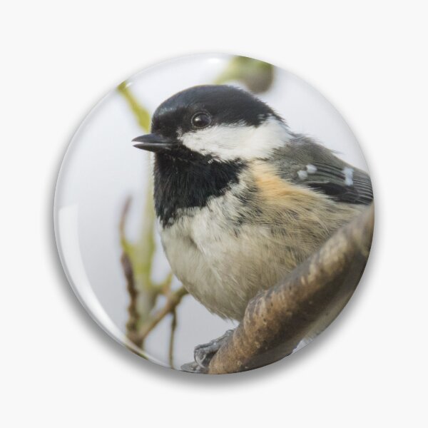 Item preview, Coal Tit designed and sold by LaurenTucker.