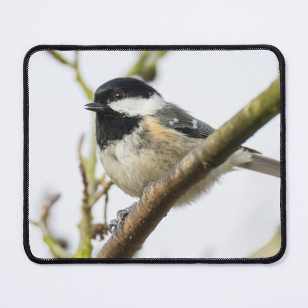 Item preview, Coal Tit designed and sold by LaurenTucker.