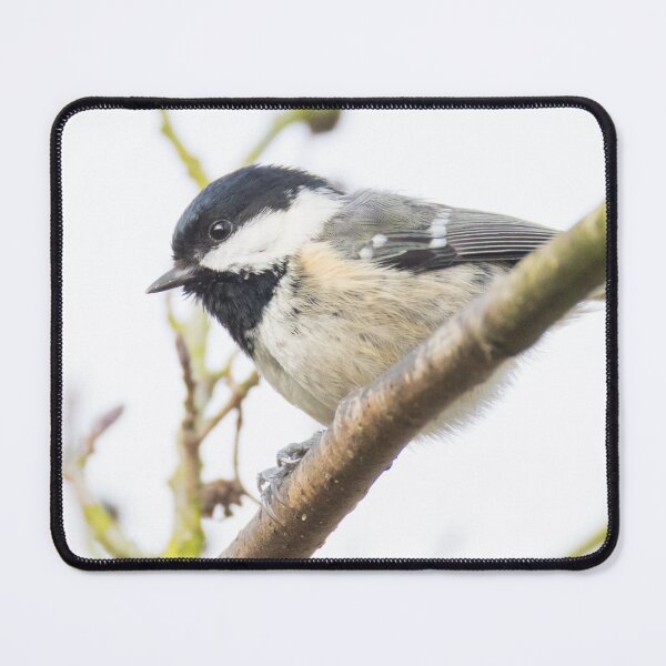 Item preview, Coal Tit designed and sold by LaurenTucker.