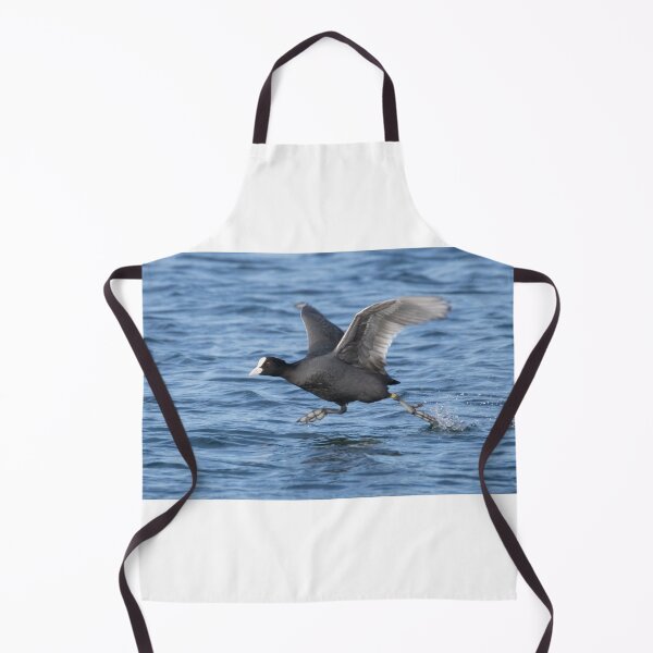 Item preview, Eurasian Coot designed and sold by LaurenTucker.