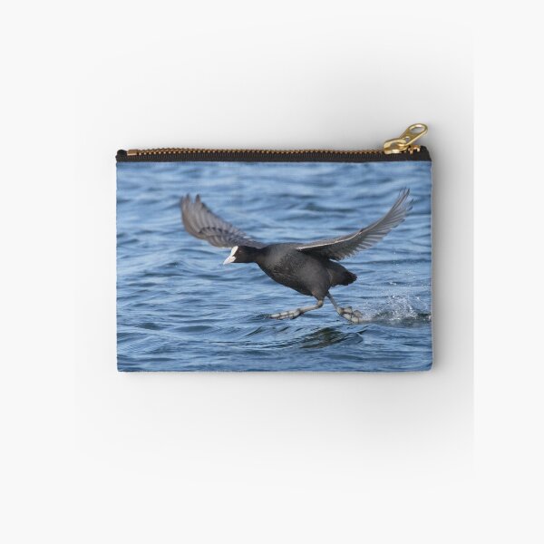 Item preview, Eurasian Coot designed and sold by LaurenTucker.