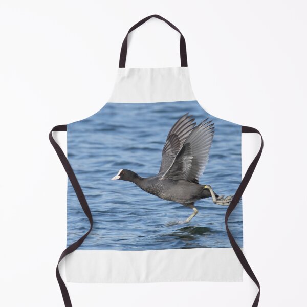 Item preview, Eurasian Coot designed and sold by LaurenTucker.