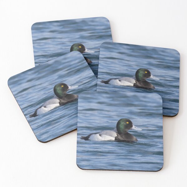 Item preview, Greater Scaup designed and sold by LaurenTucker.