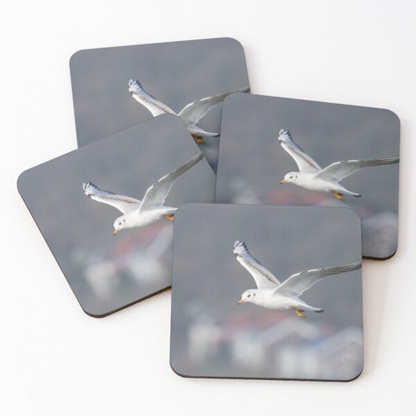 Item preview, Black Headed Gull designed and sold by LaurenTucker.