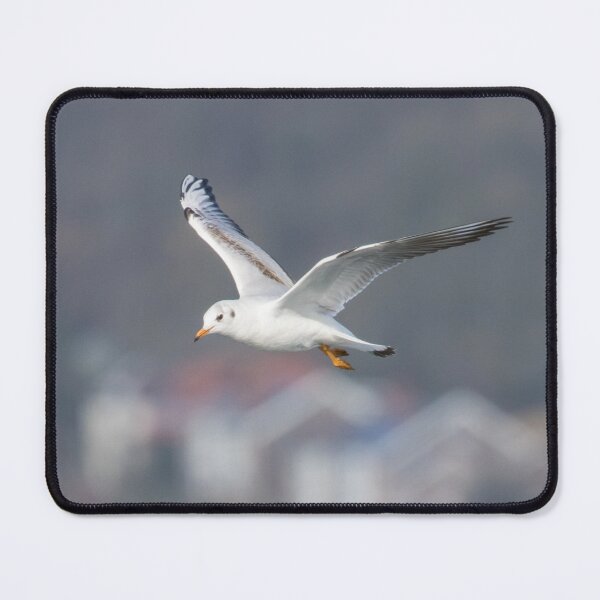 Item preview, Black Headed Gull designed and sold by LaurenTucker.