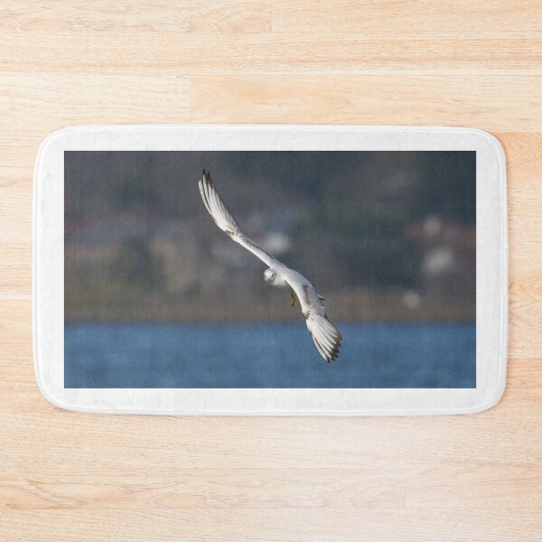 Item preview, Black Headed Gull designed and sold by LaurenTucker.