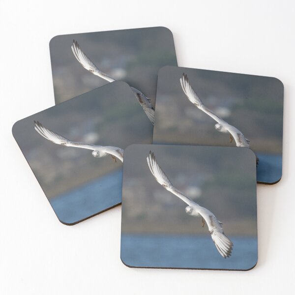 Item preview, Black Headed Gull designed and sold by LaurenTucker.