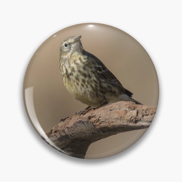 Item preview, Rock Pipit designed and sold by LaurenTucker.