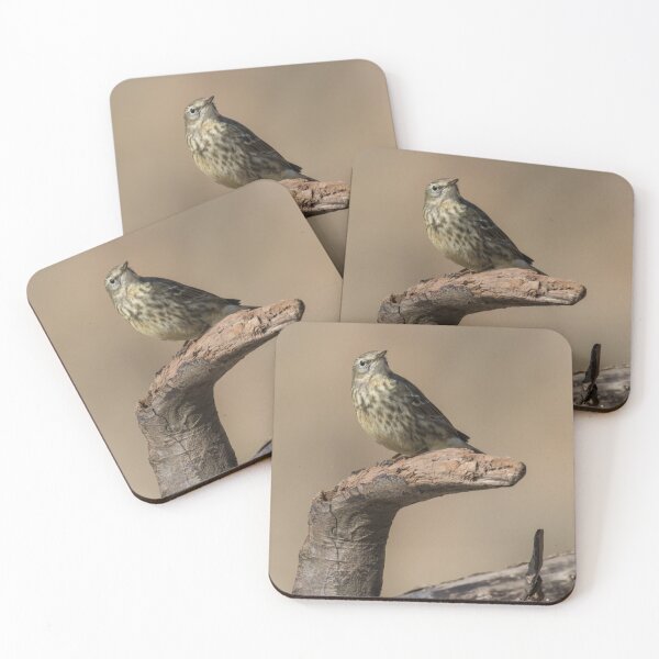 Item preview, Rock Pipit designed and sold by LaurenTucker.