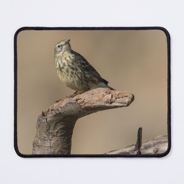 Item preview, Rock Pipit designed and sold by LaurenTucker.