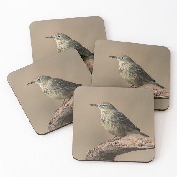 Item preview, Rock Pipit designed and sold by LaurenTucker.
