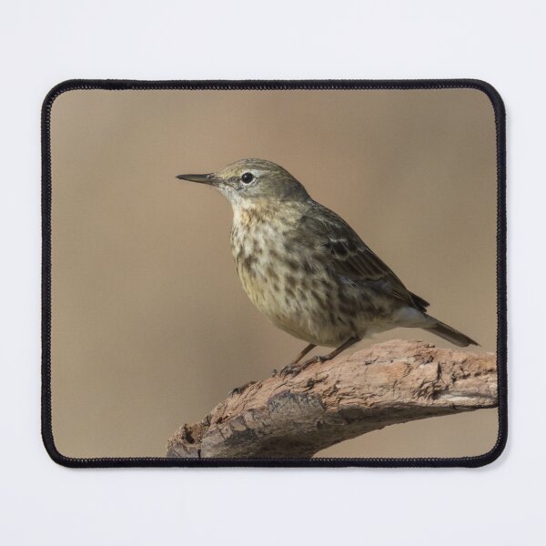 Item preview, Rock Pipit designed and sold by LaurenTucker.