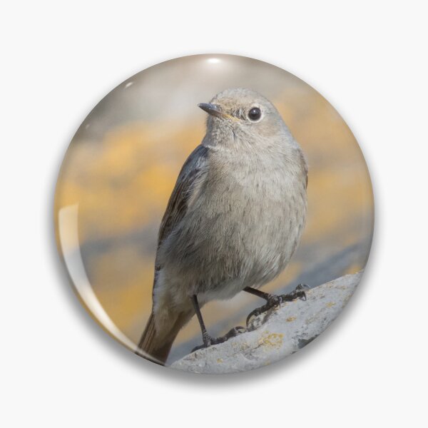 Item preview, Black Redstart designed and sold by LaurenTucker.