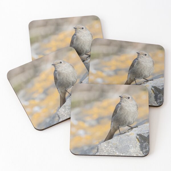 Item preview, Black Redstart designed and sold by LaurenTucker.