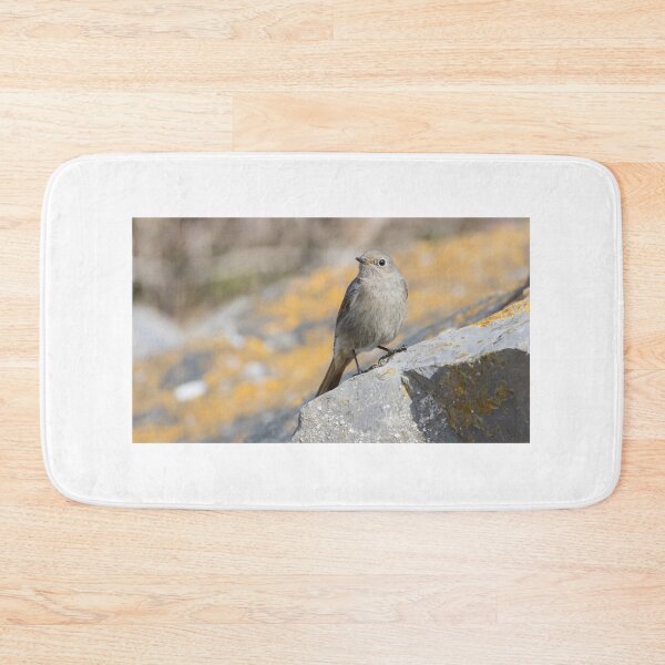 Item preview, Black Redstart designed and sold by LaurenTucker.