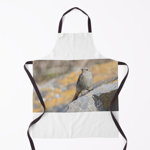Item preview, Black Redstart designed and sold by LaurenTucker.