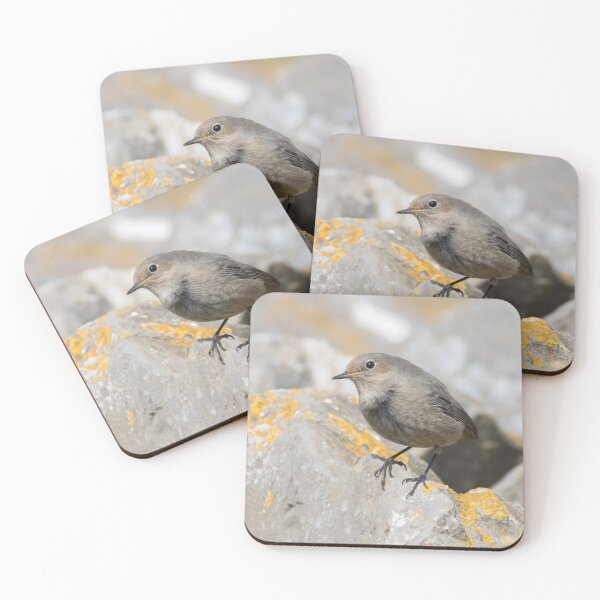 Item preview, Black Redstart designed and sold by LaurenTucker.