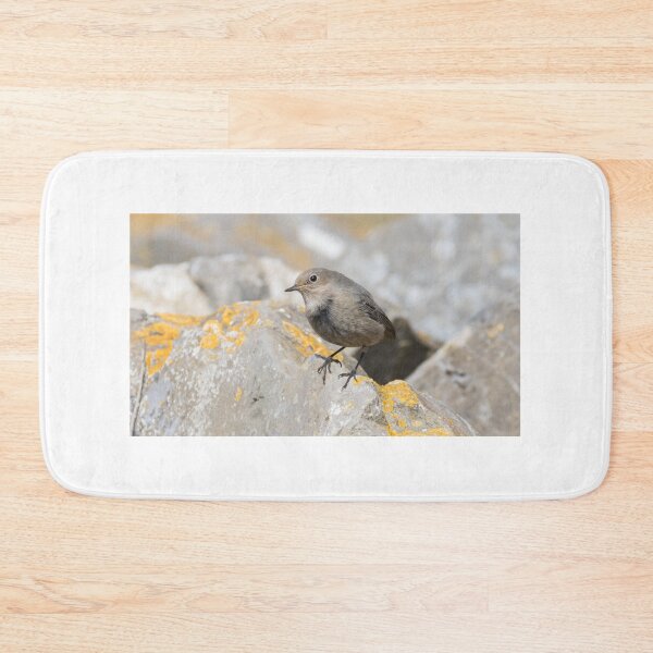 Item preview, Black Redstart designed and sold by LaurenTucker.