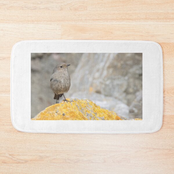 Item preview, Black Redstart designed and sold by LaurenTucker.