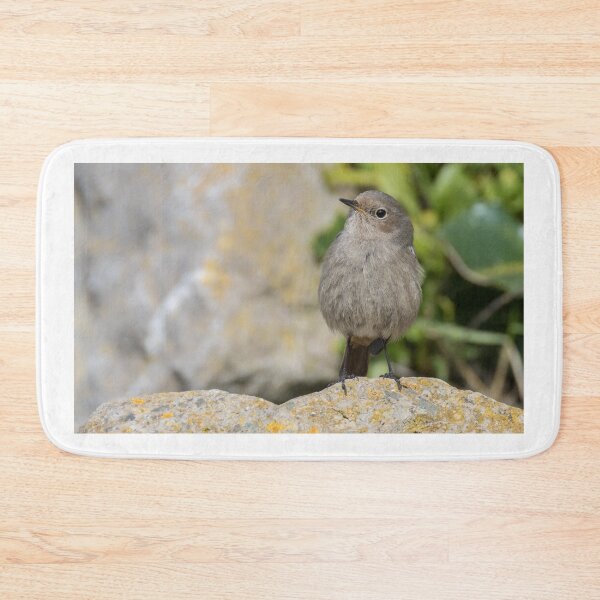 Item preview, Black Redstart designed and sold by LaurenTucker.