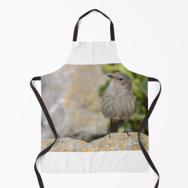 Item preview, Black Redstart designed and sold by LaurenTucker.