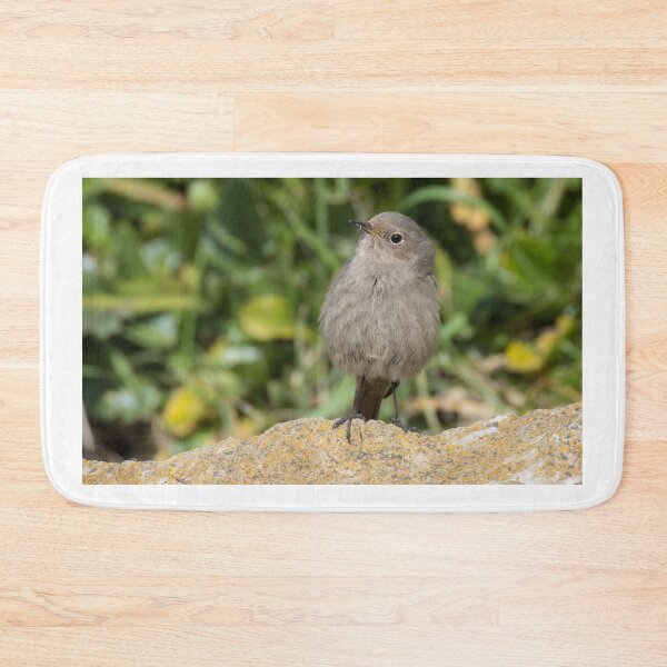 Item preview, Black Redstart designed and sold by LaurenTucker.