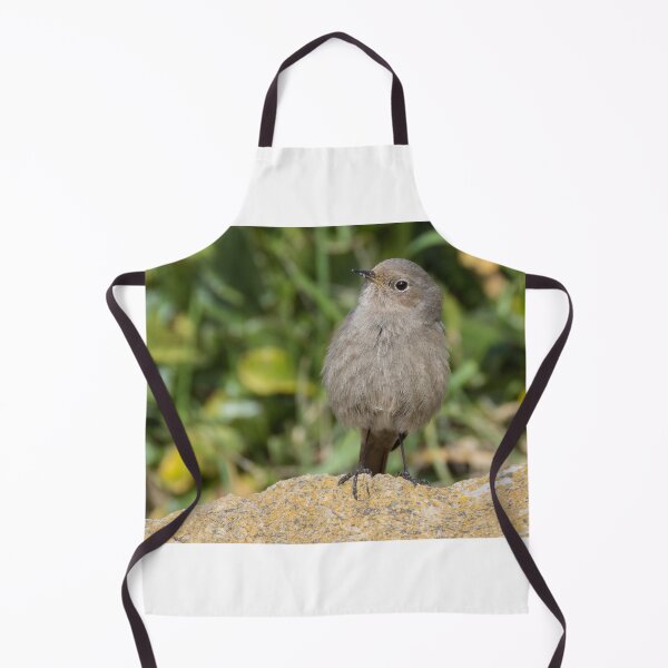 Item preview, Black Redstart designed and sold by LaurenTucker.
