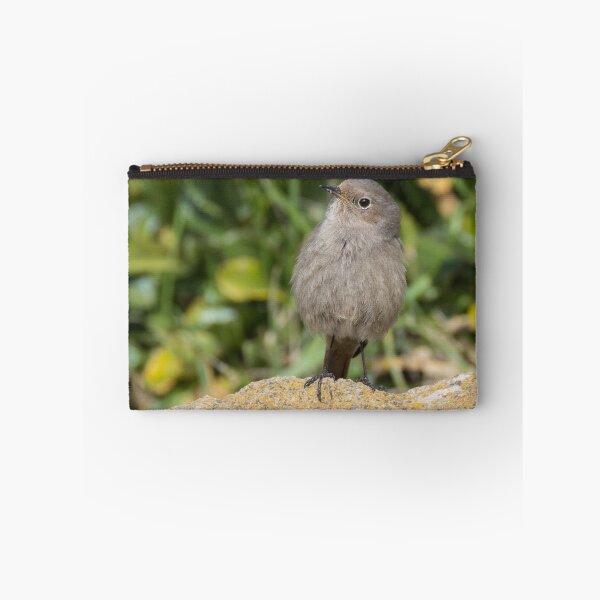 Item preview, Black Redstart designed and sold by LaurenTucker.