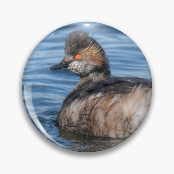 Item preview, Black Necked Grebe designed and sold by LaurenTucker.