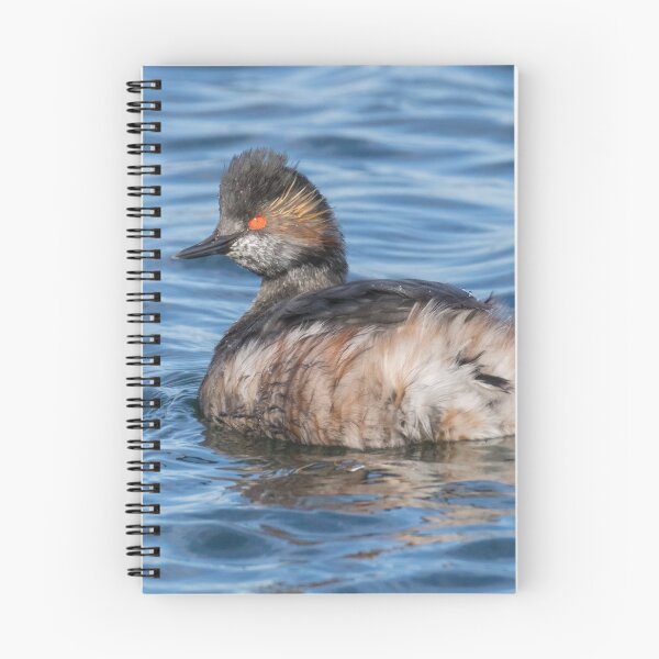 Item preview, Black Necked Grebe designed and sold by LaurenTucker.