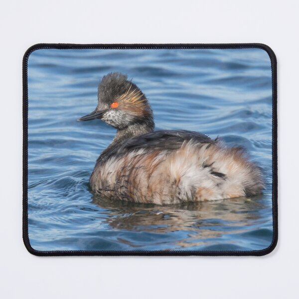 Item preview, Black Necked Grebe designed and sold by LaurenTucker.