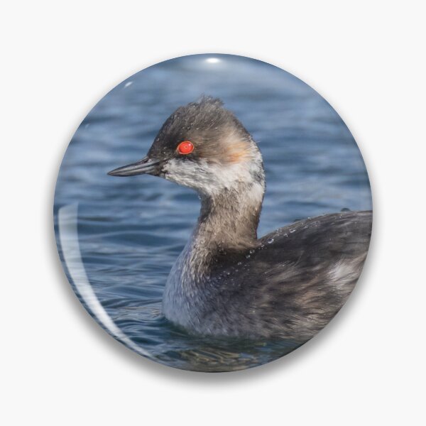 Item preview, Black Necked Grebe designed and sold by LaurenTucker.